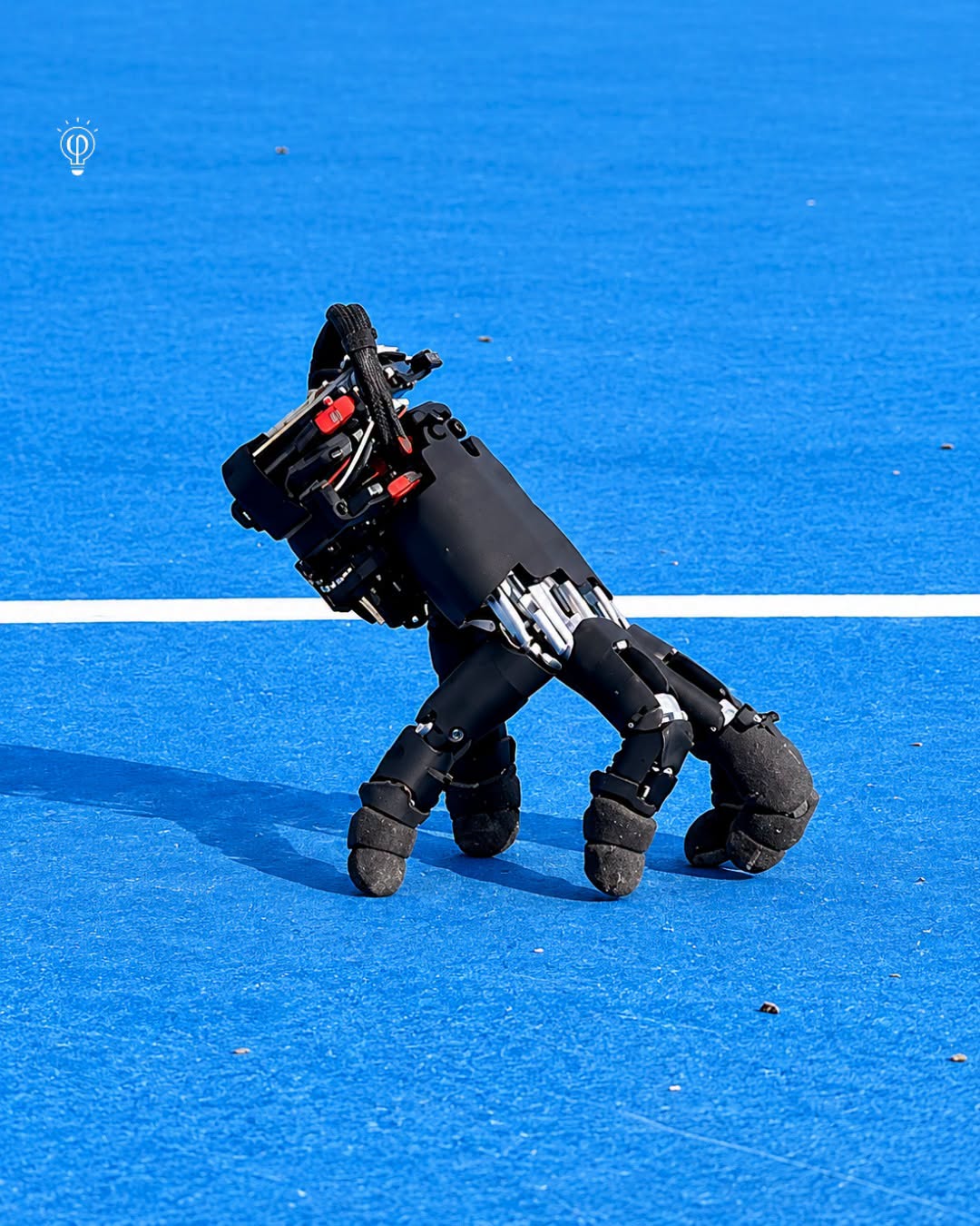 ETH Zurich Robotic Hand Walks on Its Own Fingertips