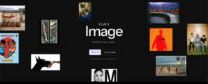 Black Forest Labs Launches FLUX 3 Image Model