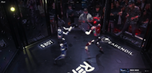 California Halts Human Robot Cage Match Over Safety Risks